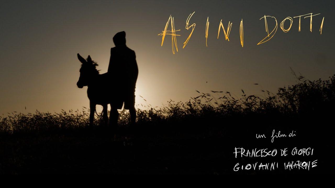 Wise Donkeys Trailer