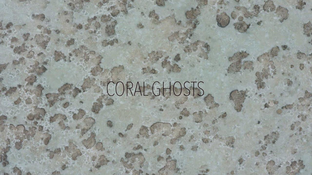 Coral Ghosts Trailer