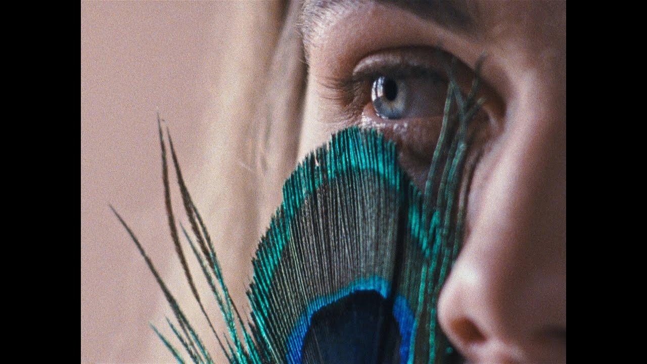 The Metamorphosis of Birds Trailer