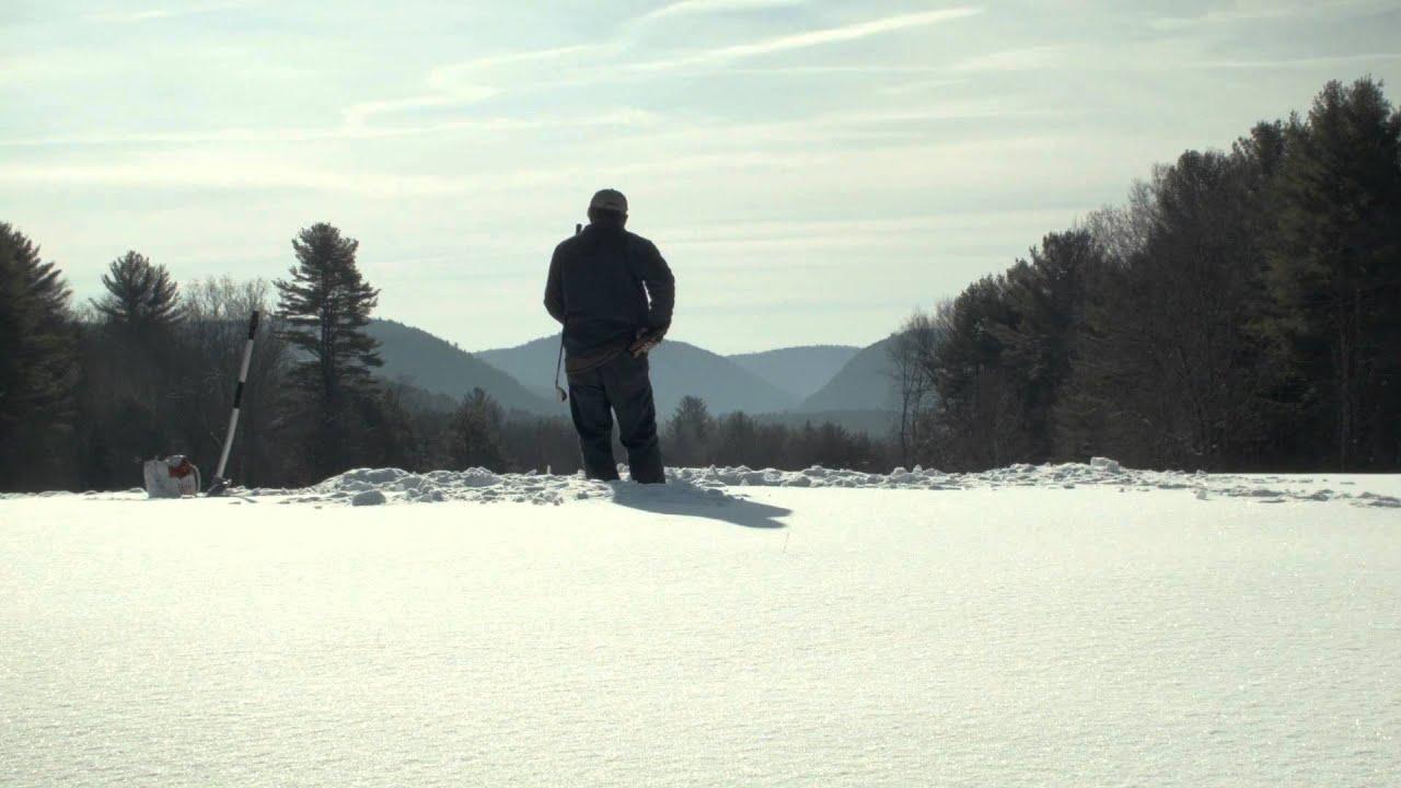 Bob and the Trees Trailer