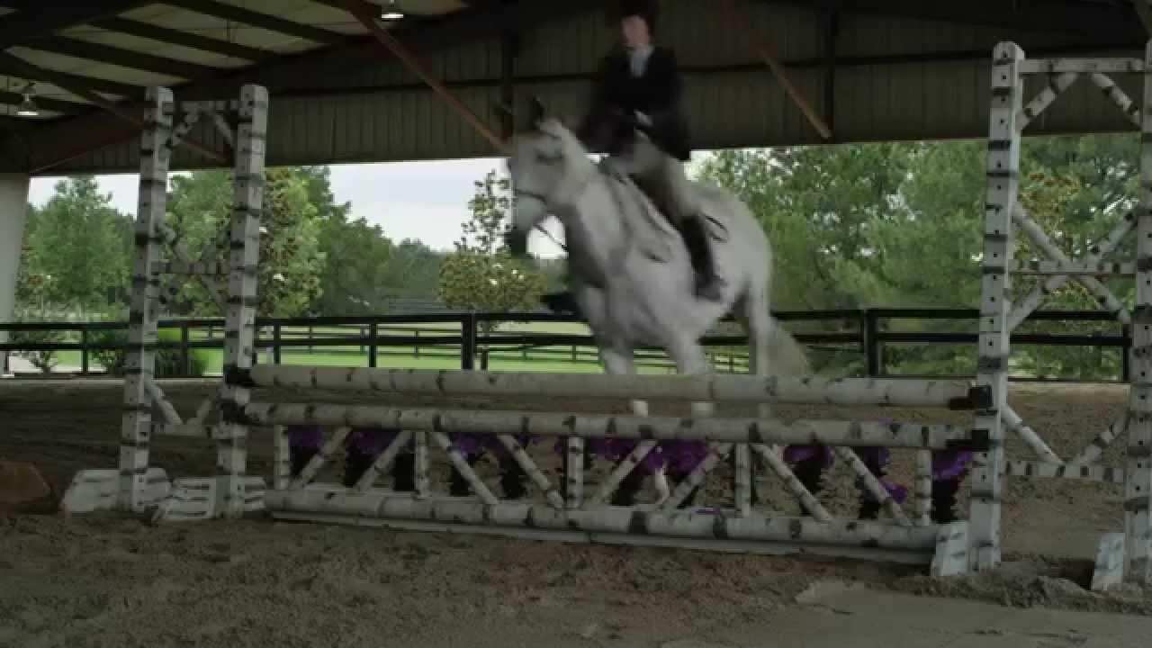 A Gift Horse Trailer