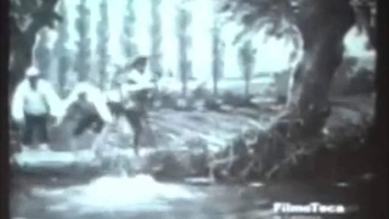 Puss In Boots Trailer