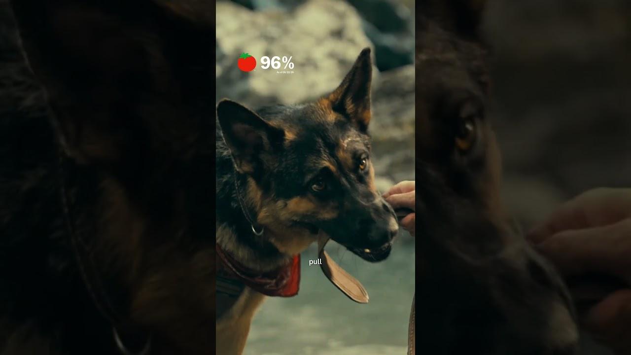 Heart of the Beast Trailer
