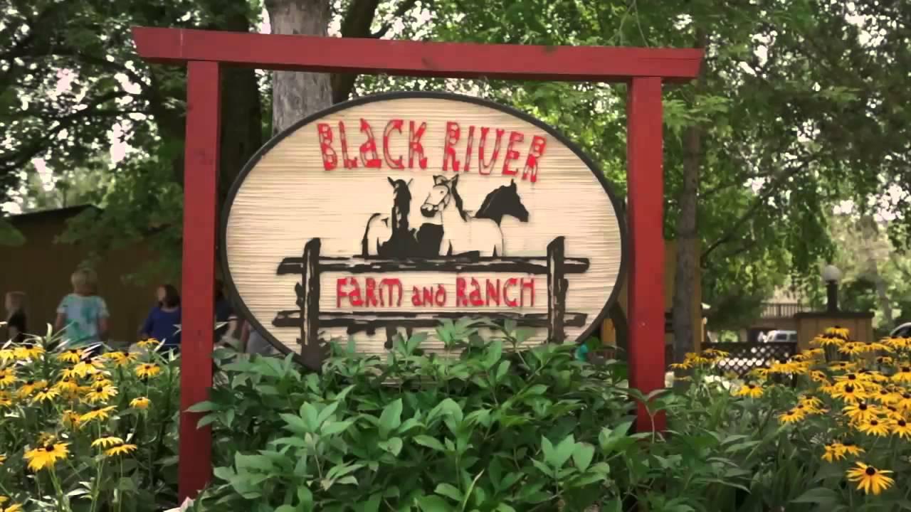 Horse Camp Trailer