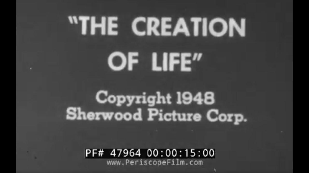 The Creation Of Life Trailer