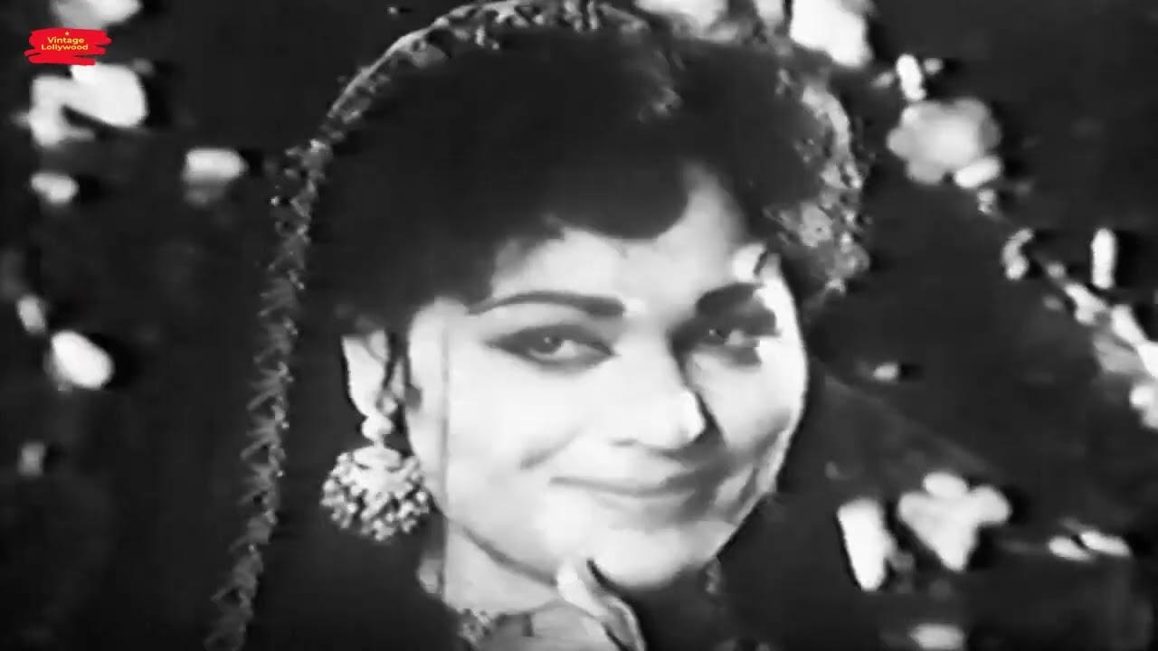 Gulbadan Trailer