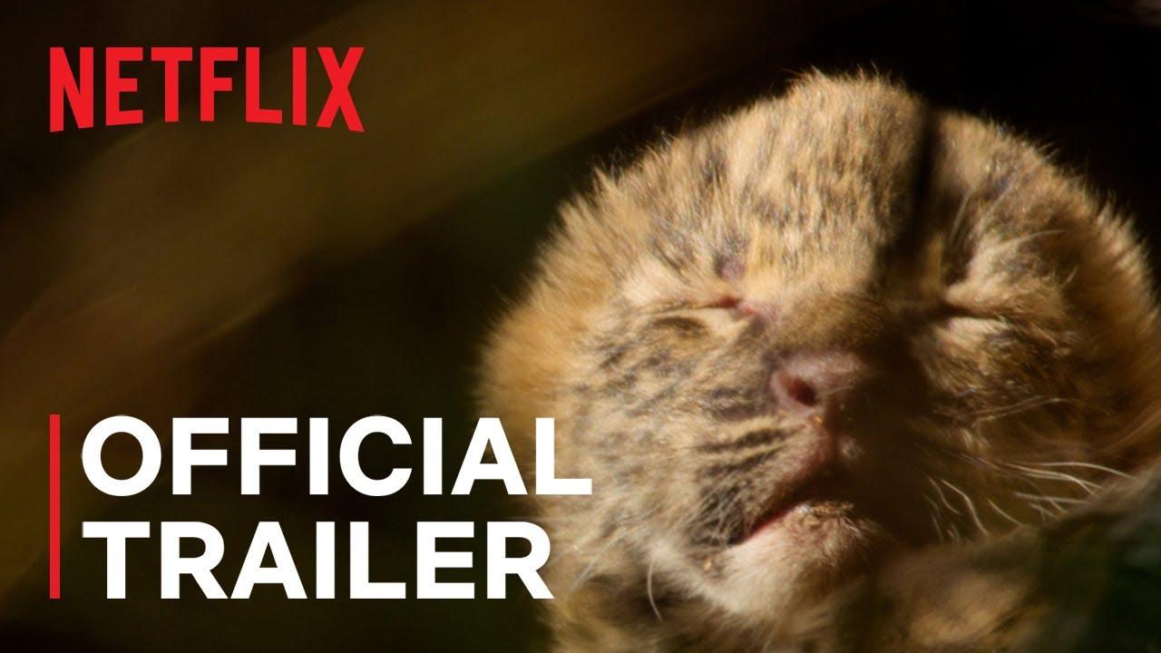Living with Leopards Trailer