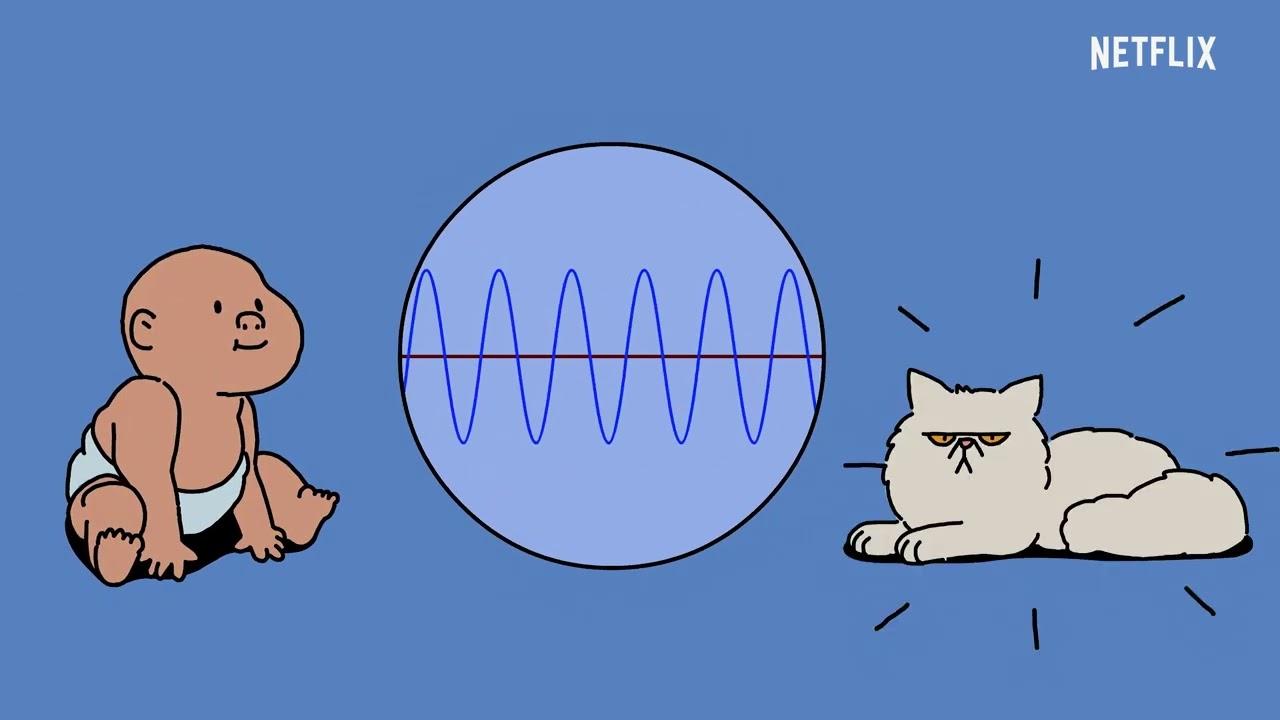 Inside the Mind of a Cat Trailer