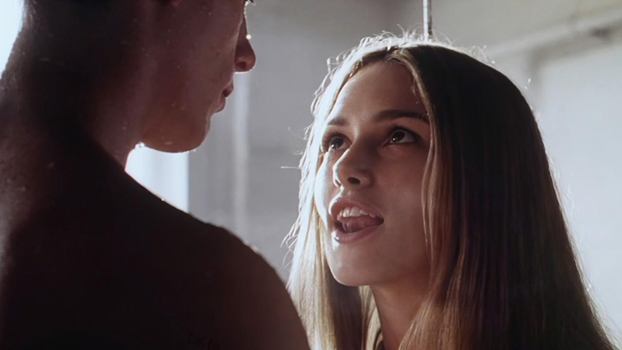 The Hole Trailer