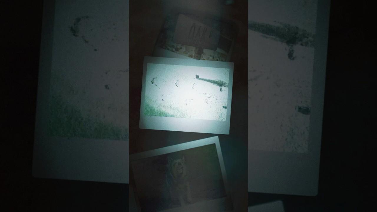 The End of Oak Street Trailer