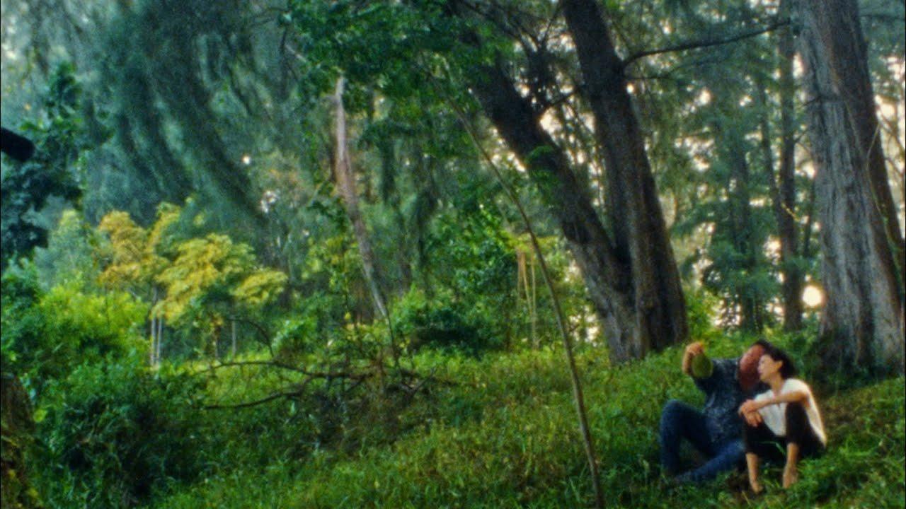 Durian, Durian Trailer