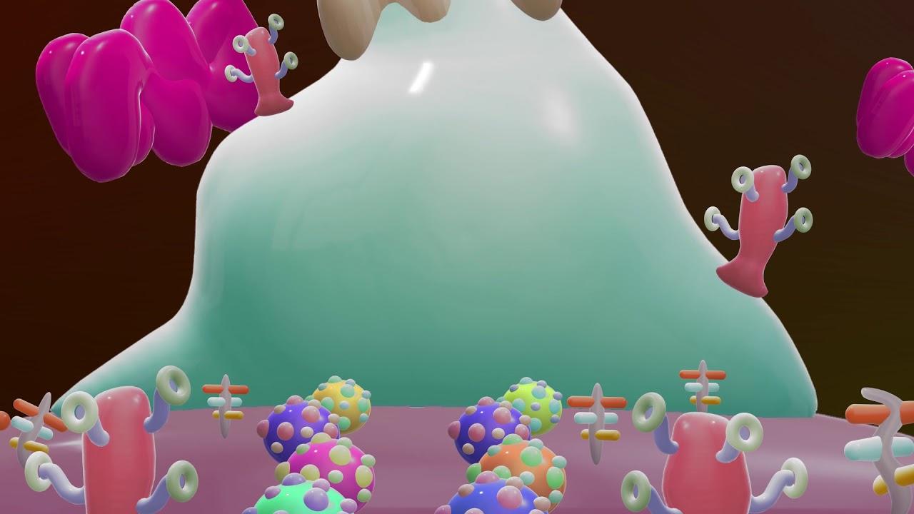 SHNUNKYWORLD Trailer