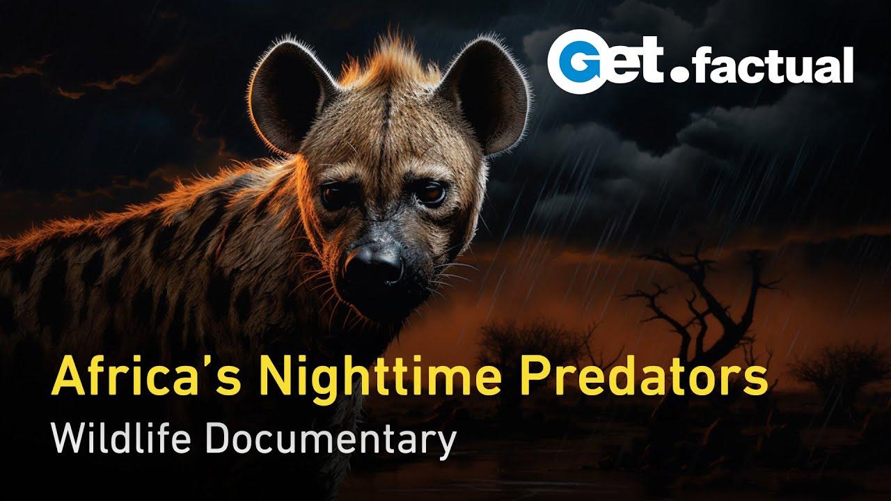 Africa's Hunters of the Night Trailer