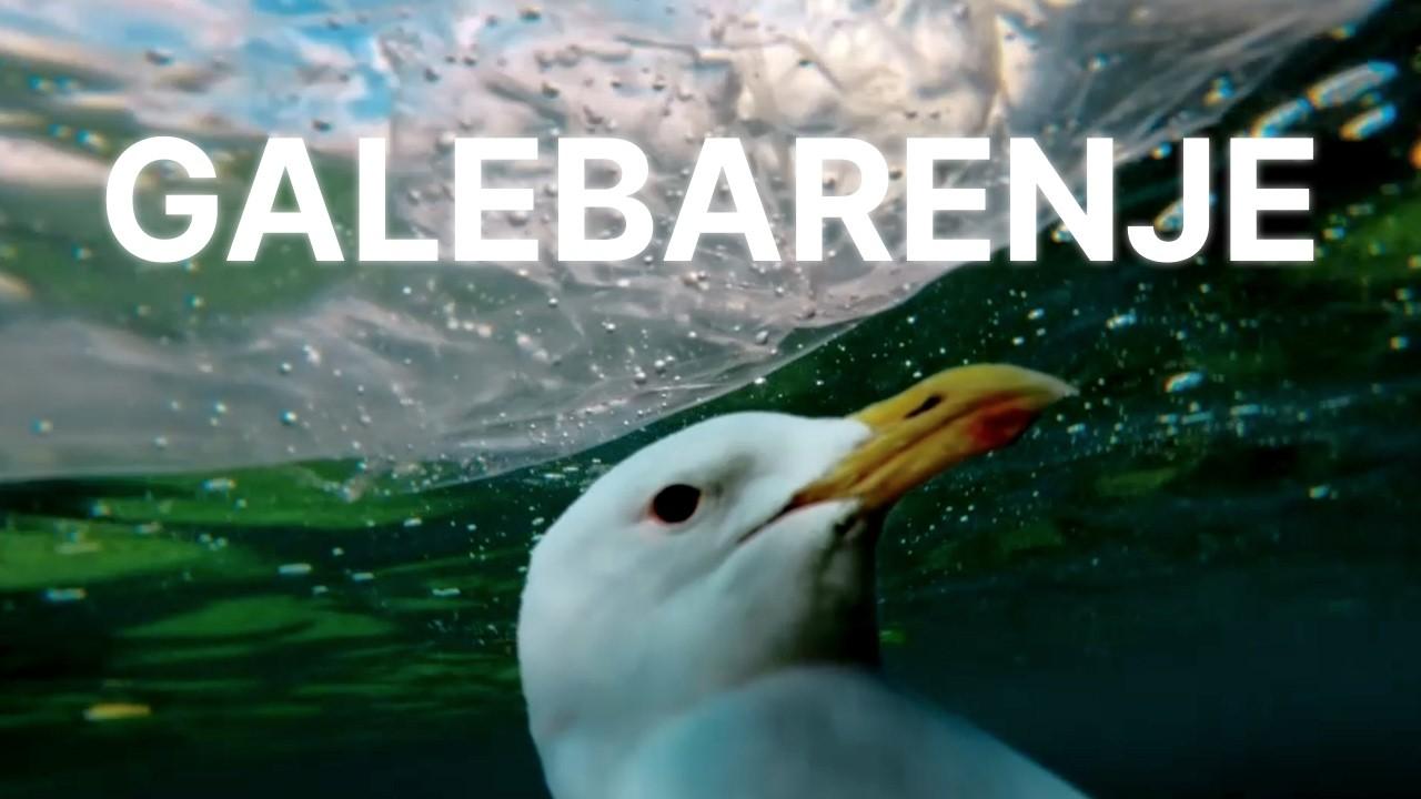 Seagulling Trailer
