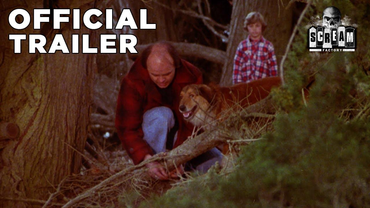 The Pack Trailer