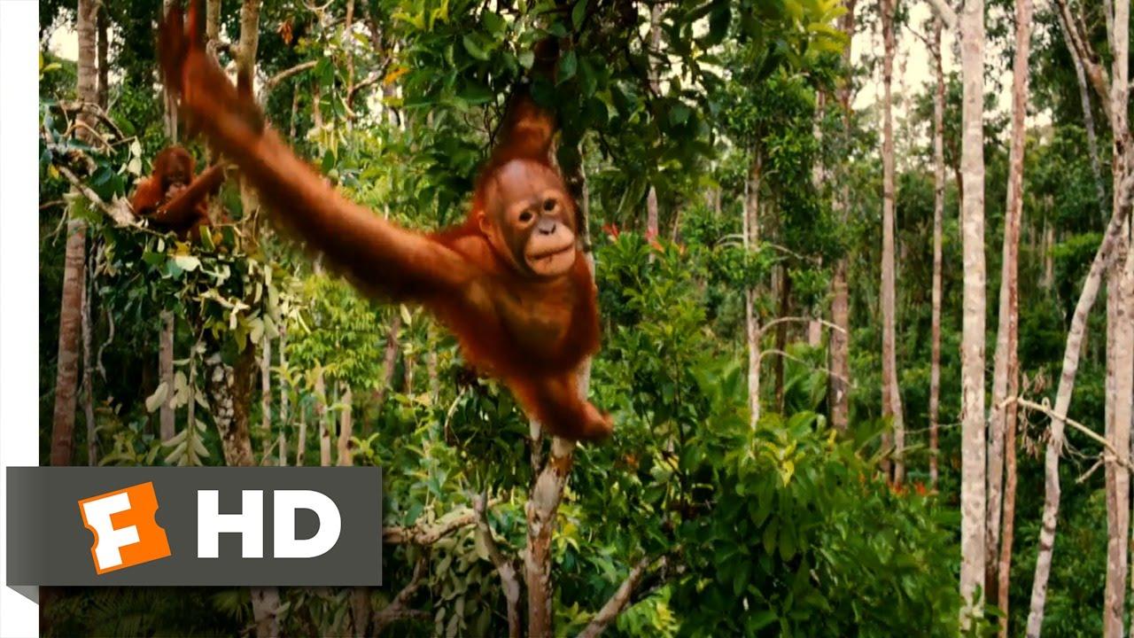 Born to Be Wild Trailer