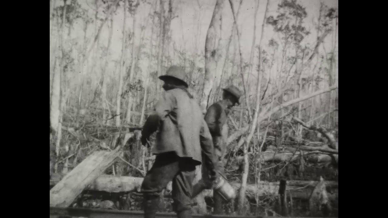 Fieldwork Footage Trailer