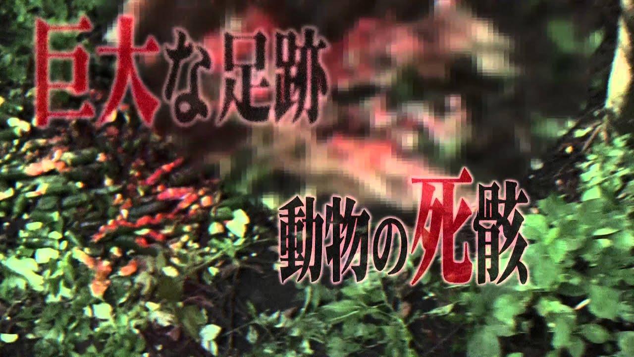 Senritsu Kaiki File Kowasugi! File 03: Legend of a Human-Eating Kappa Trailer