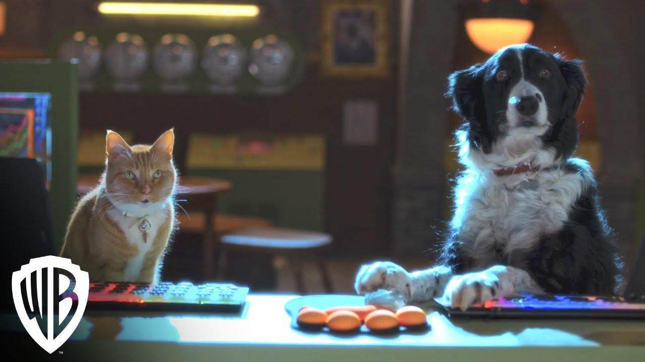 Cats & Dogs 3: Paws Unite Trailer