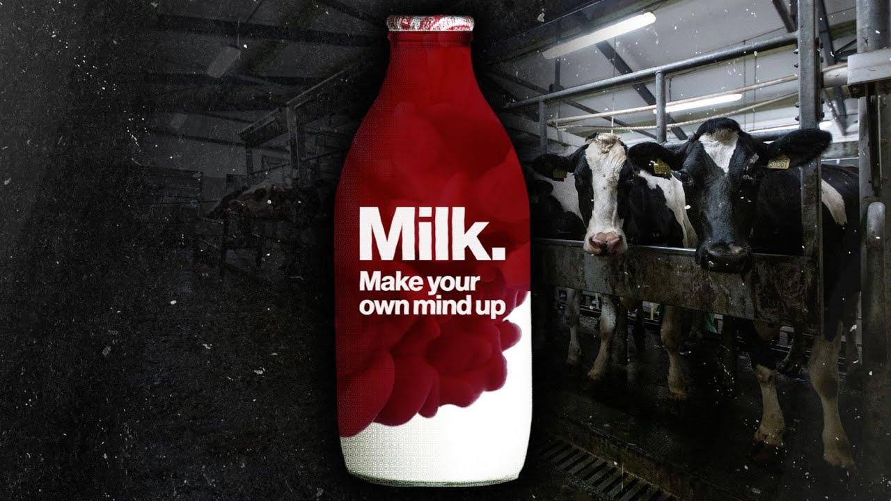 Milk: Make Your Own Mind Up Trailer