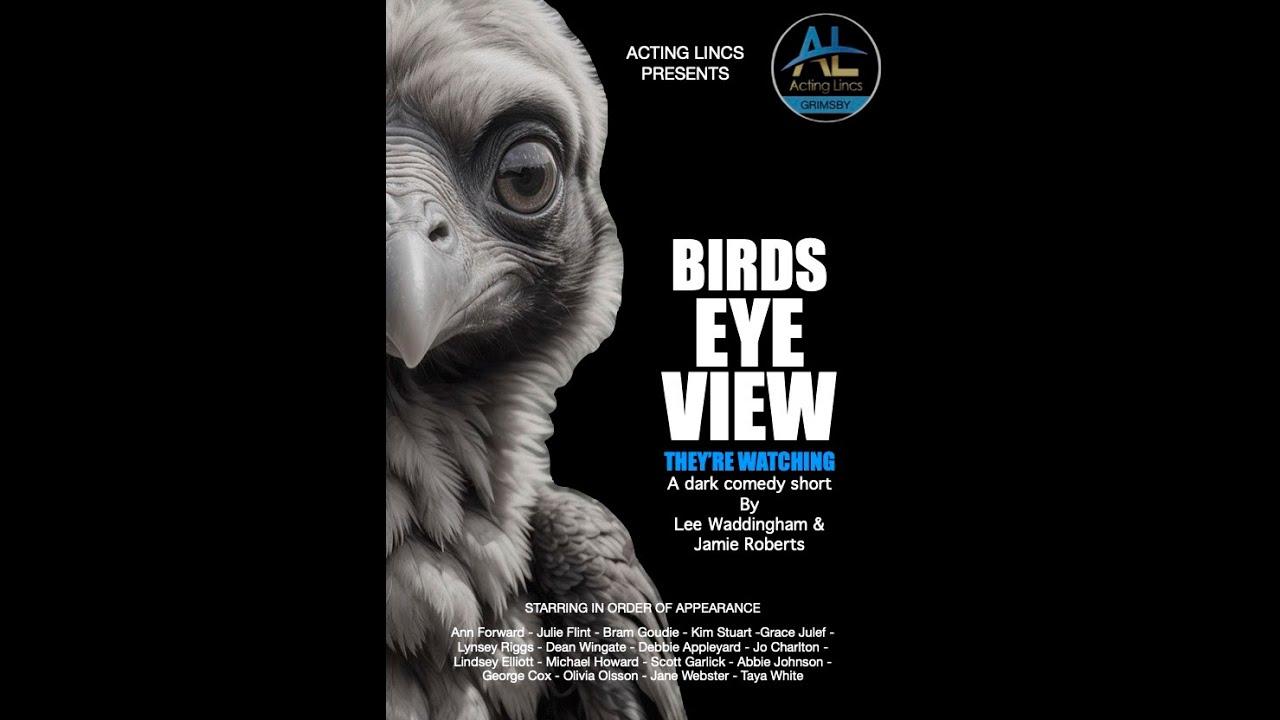 Birds Eye View Trailer