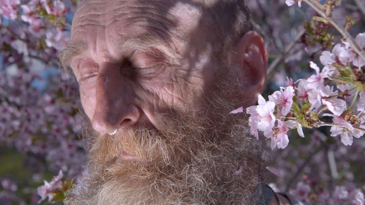 A Man Imagined Trailer