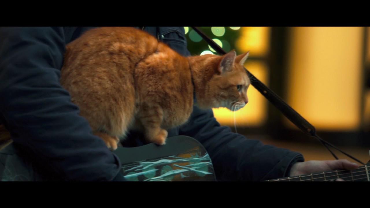 A Street Cat Named Bob Trailer