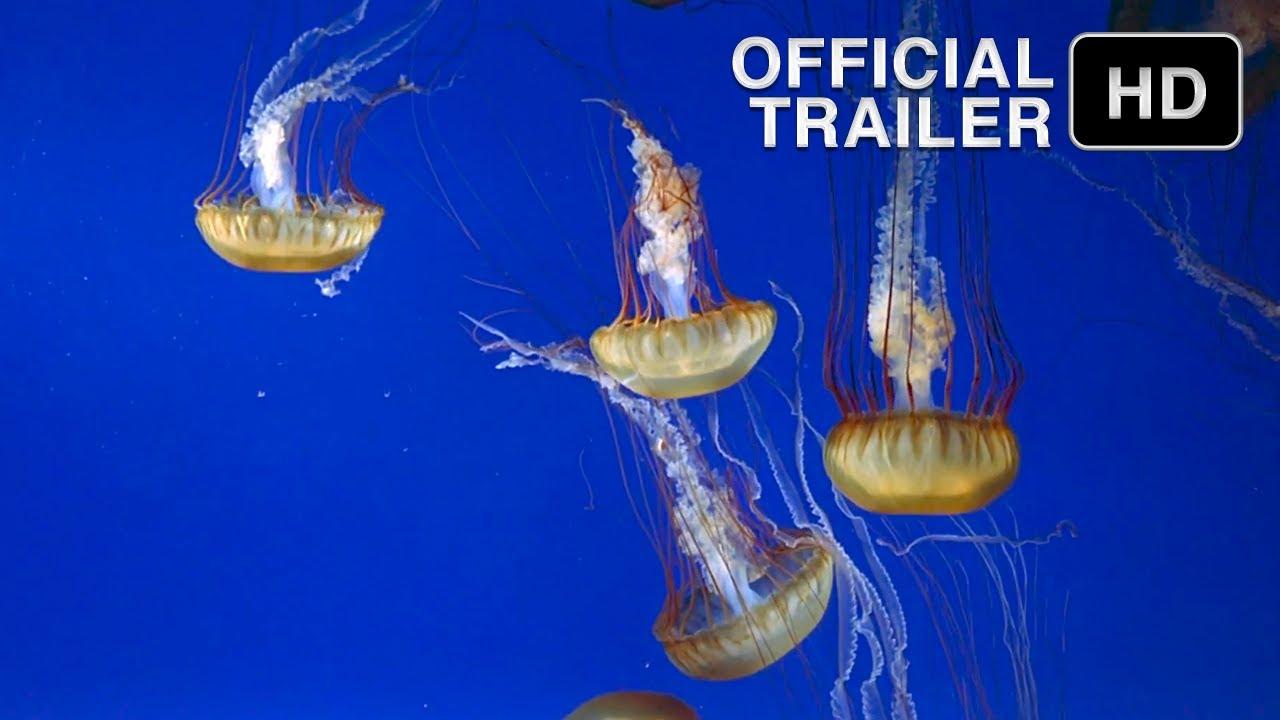 The Living Sea Trailer
