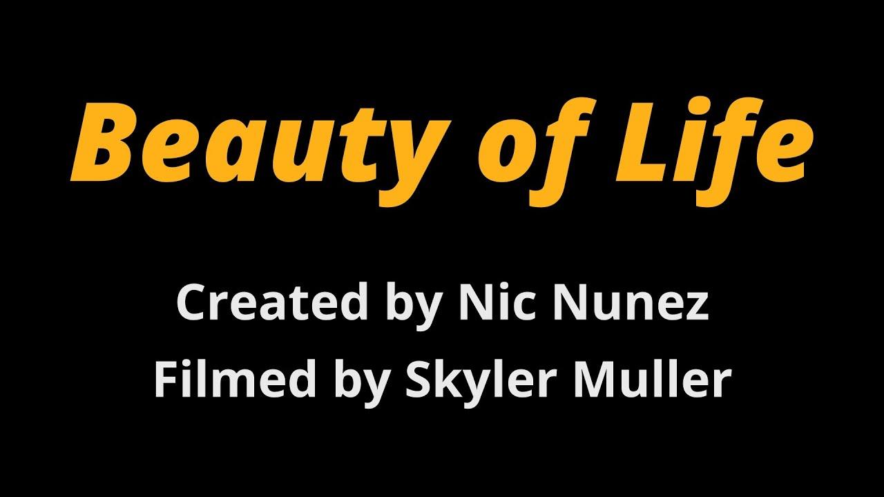 Beauty of Life Trailer