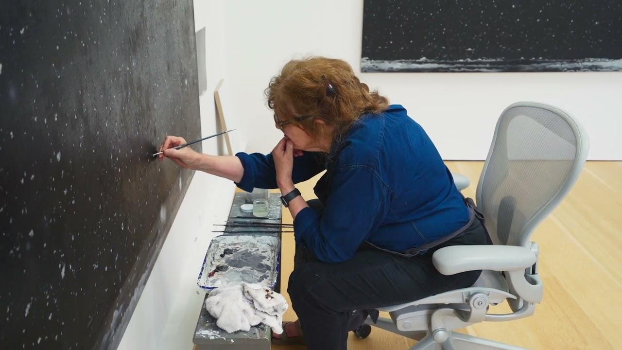 Vija Celmins: To Fix the Image in Memory Trailer
