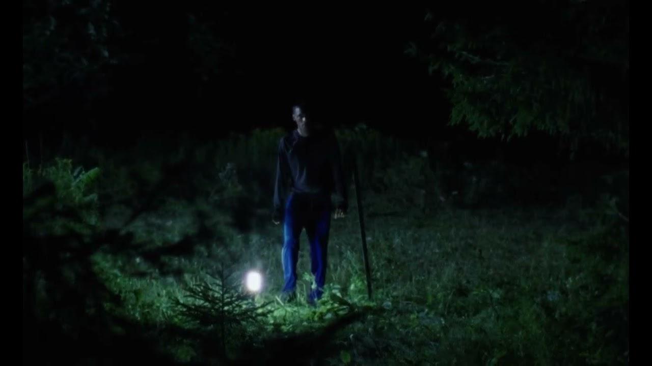 Down the orchard Trailer
