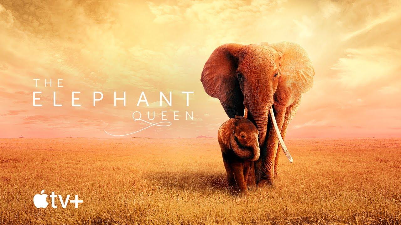 The Elephant Queen Trailer