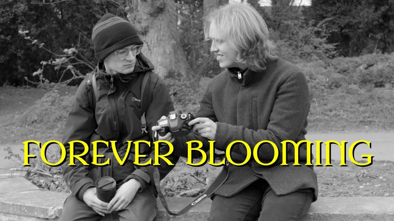 Forever Blooming Trailer
