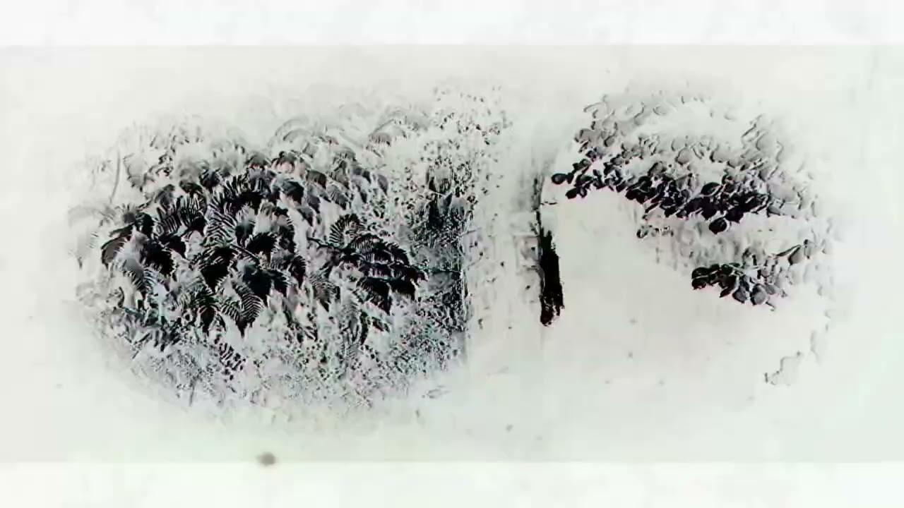 Bloodied Lens Trailer
