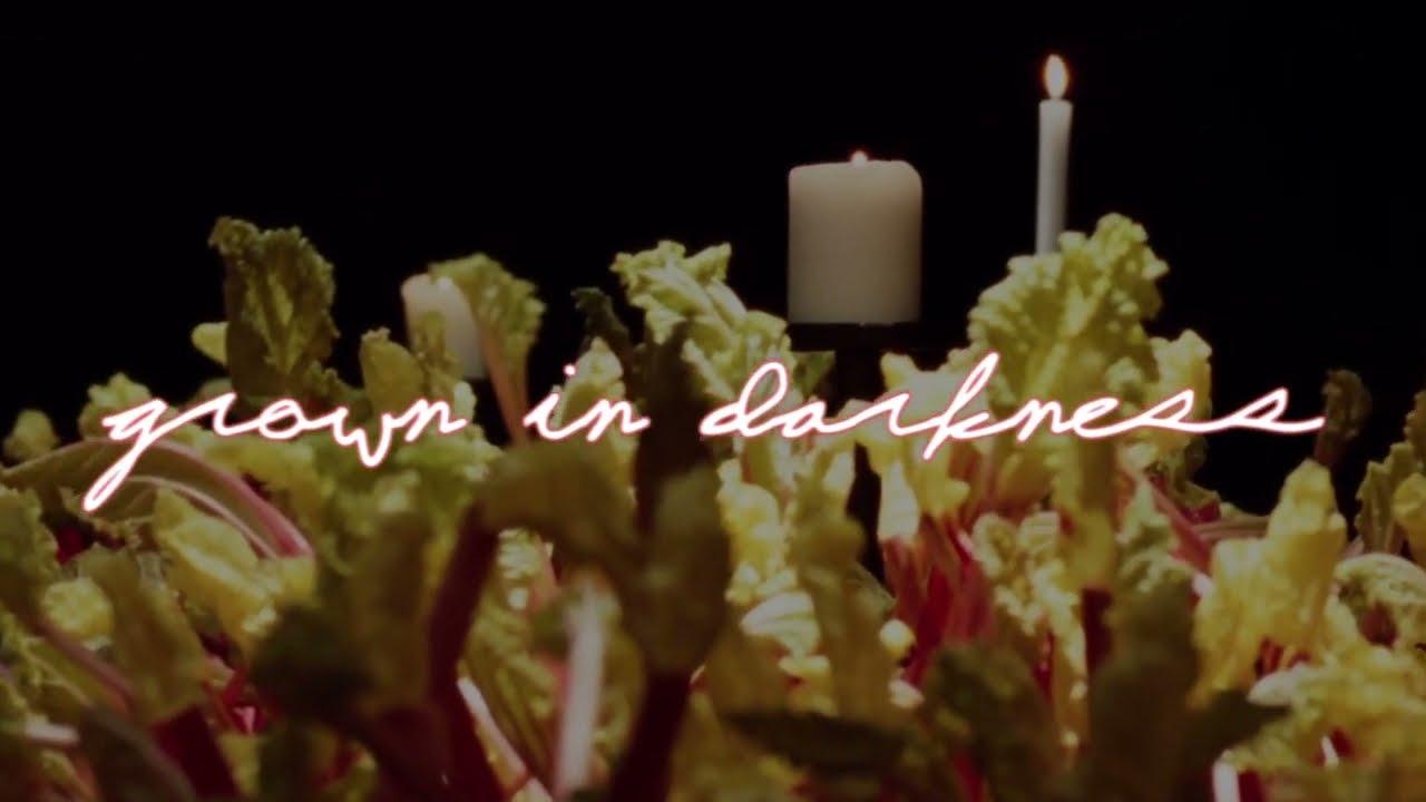 Grown in Darkness Trailer