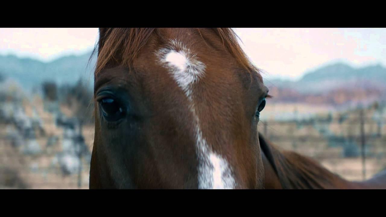 Out of the Wild Trailer