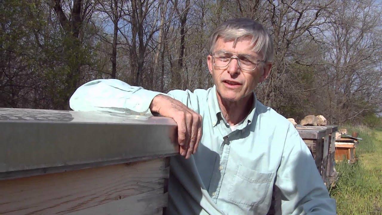 Queen of the Sun: What Are the Bees Telling Us? Trailer