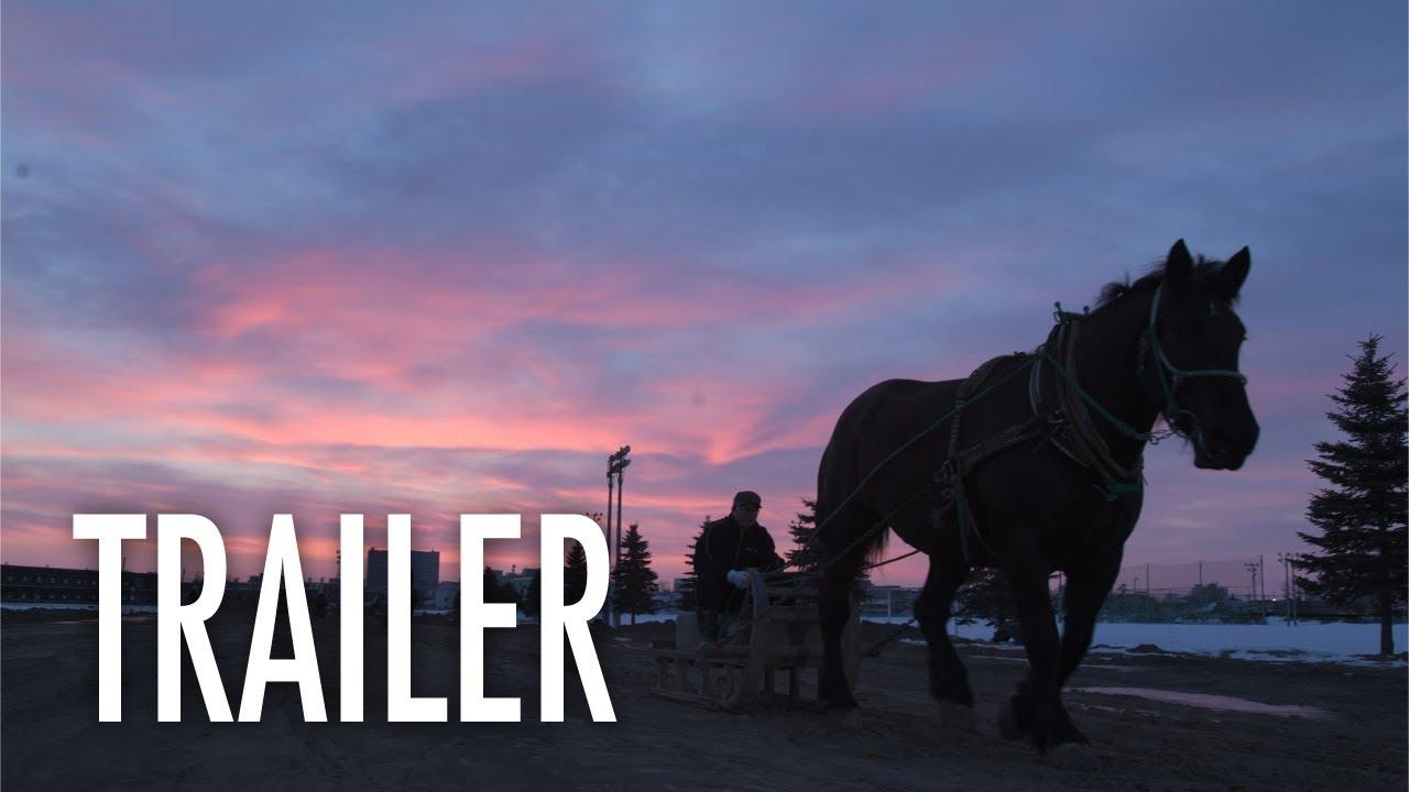 What the Snow Brings Trailer