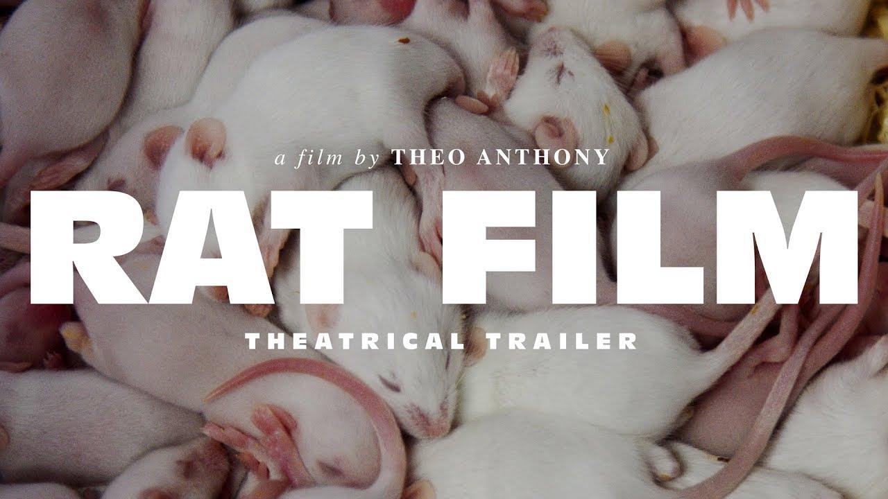 Rat Film Trailer