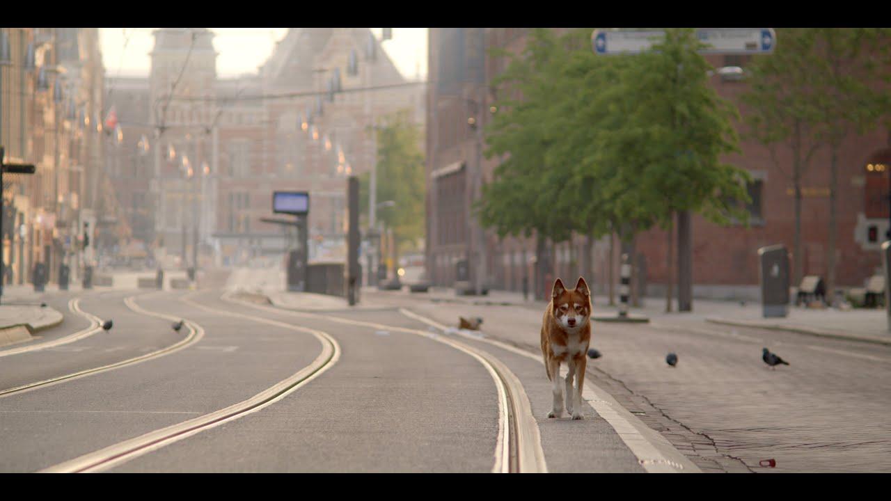 Geen Hond in Amsterdam Trailer