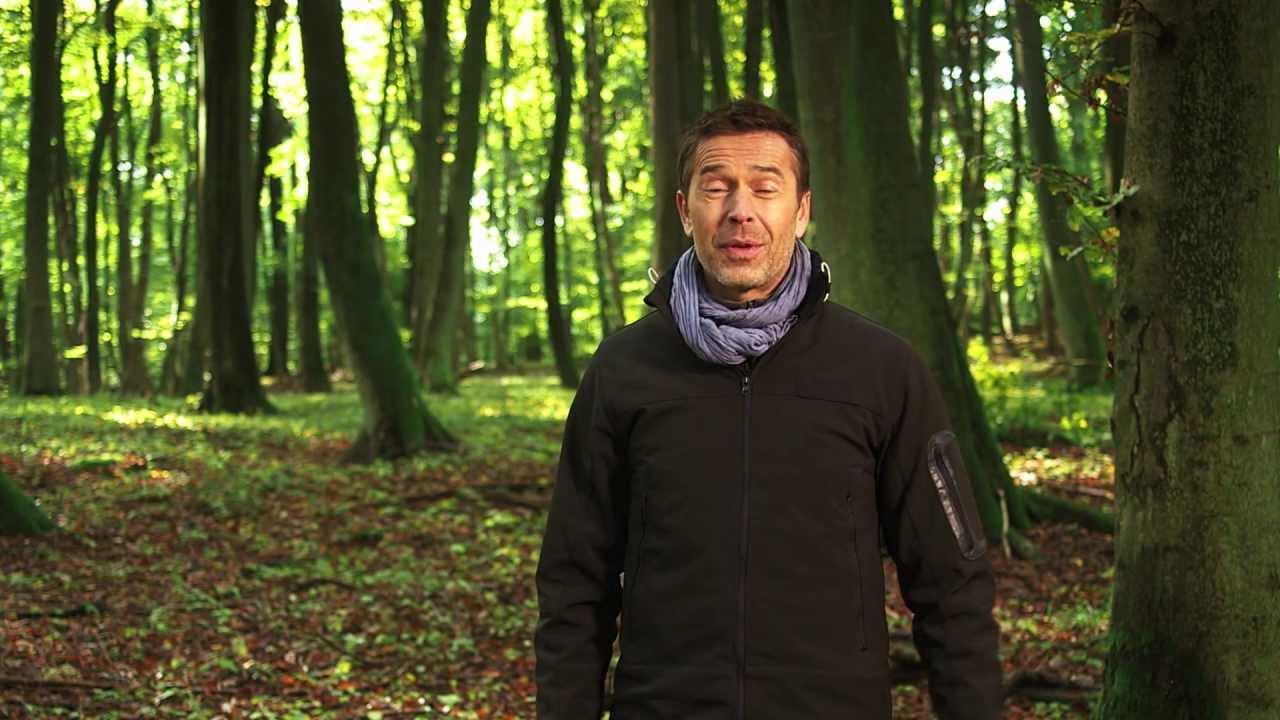 The Hike Through the Ancient Beech Forests - UNESCO World Heritage since 2011 Trailer
