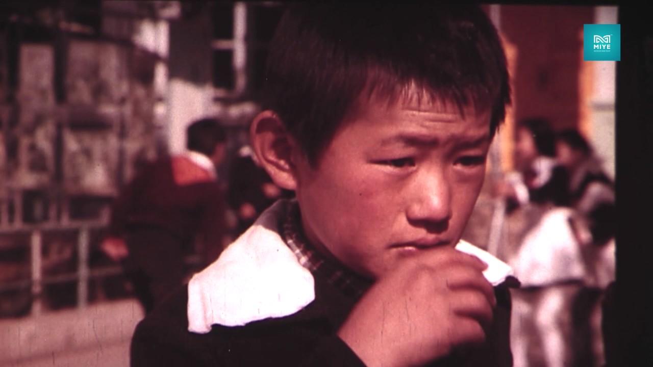 Reminiscence Trailer