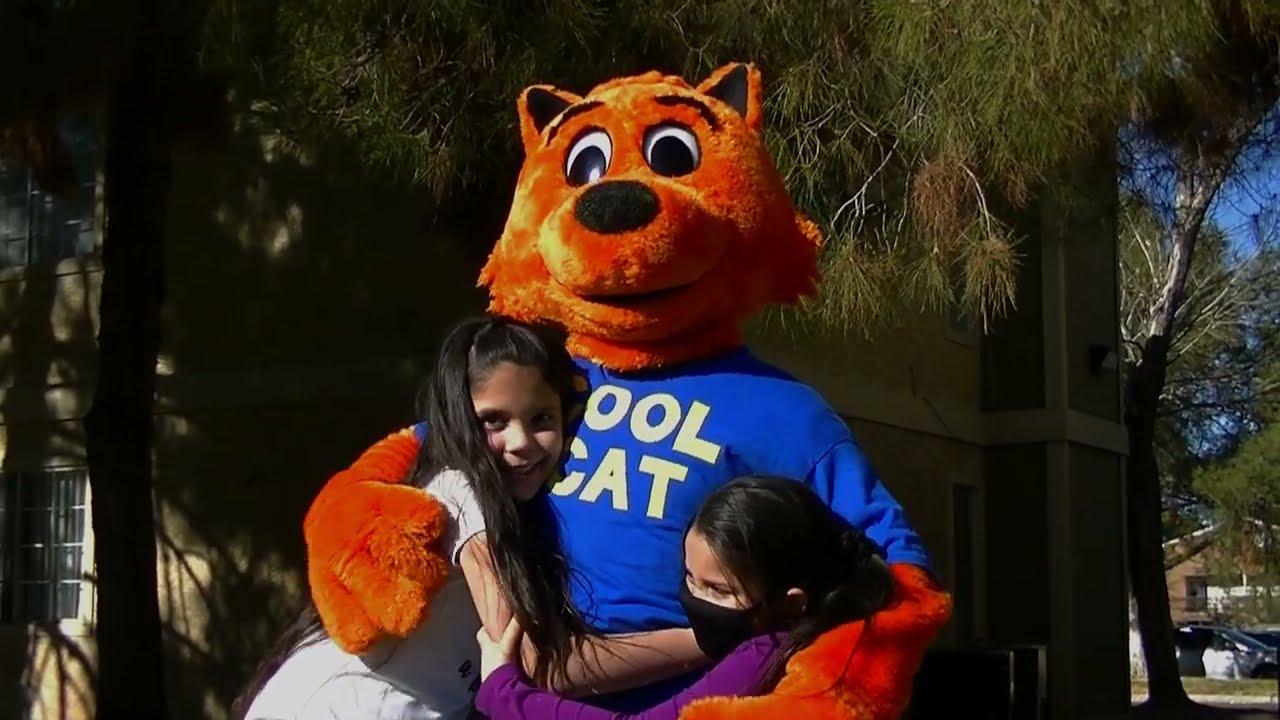 Cool Cat vs Dirty Dog 'The Virus Wars' Trailer