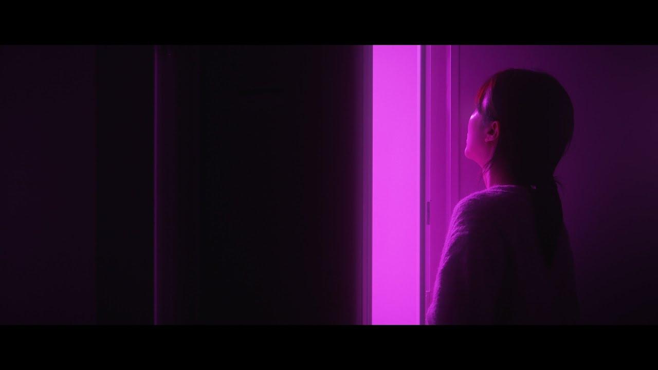 Purple Swallow Trailer