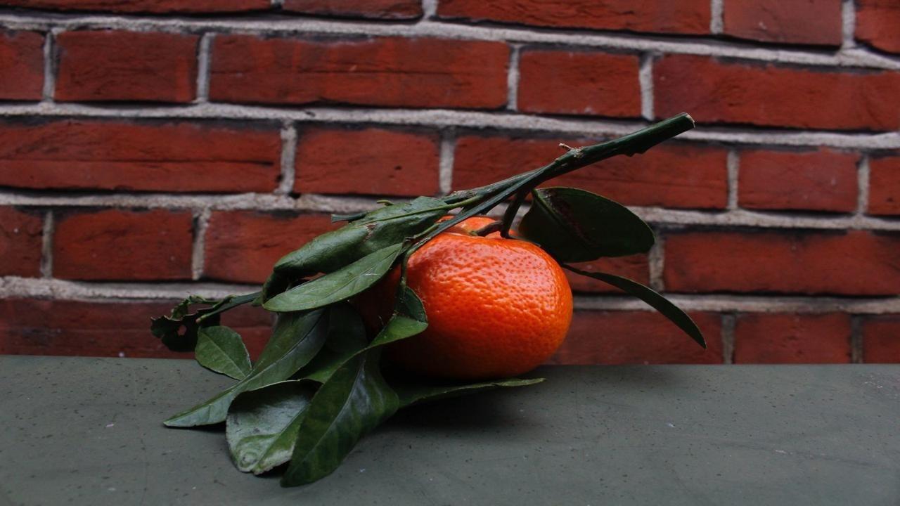 Orange Peel Trailer