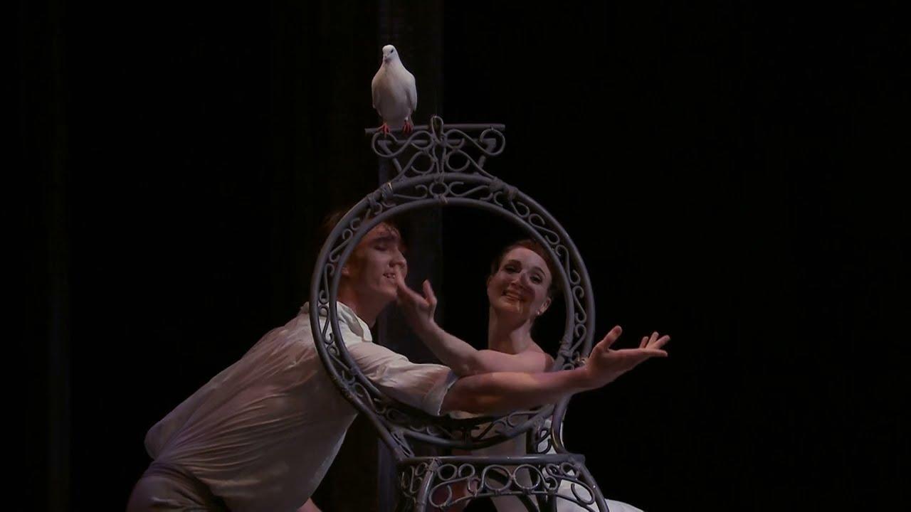 The Cellist and The Two Pigeons Trailer