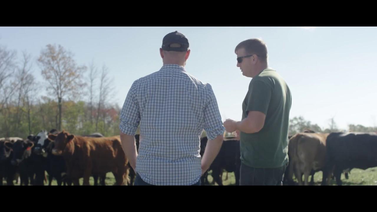 Before the Plate Trailer