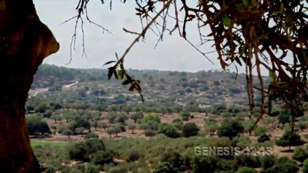 Israel Indivisible Trailer