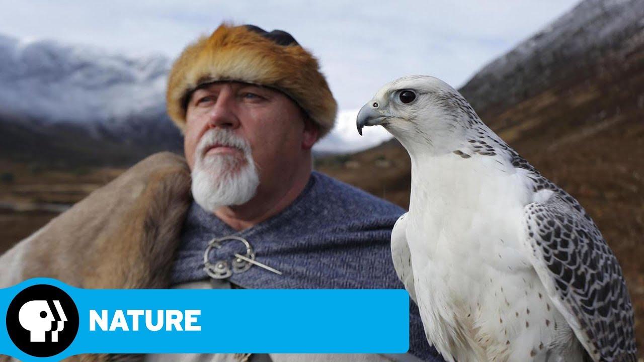 Wild Ways of the Vikings Trailer
