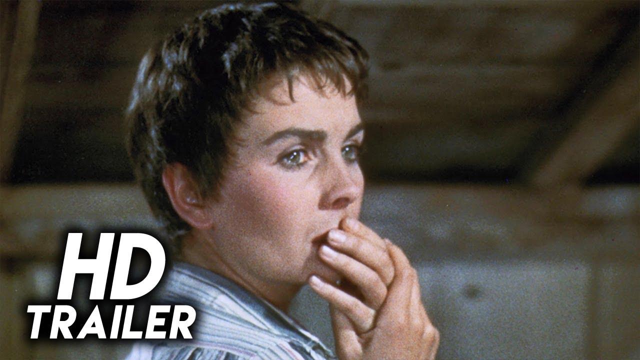 A Bullet Is Waiting Trailer